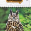 کتاب جغدها | انتشارات نوشته