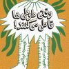کتاب وقتی طوطی ها قاطی می کنند | انتشارات پرتقال