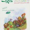 کتاب شاپرک 2 | انتشارات شباهنگ