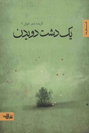کتاب یک دشت دویدن | انتشارات شهرستان ادب