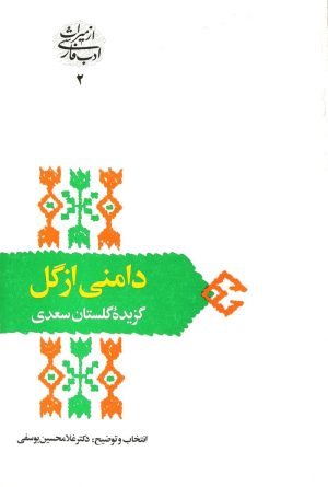 کتاب دامنی از گل | انتشارات سخن