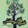 کتاب ضربه های نیروبخش | انتشارات بهجت
