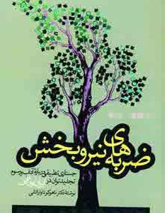 کتاب ضربه های نیروبخش | انتشارات بهجت