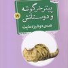 کتاب قصه ی دوشیزه ماپت | انتشارات قدیانی