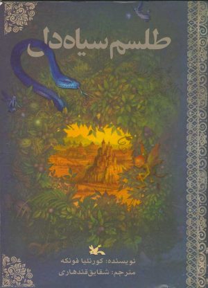 کتاب طلسم سیاه دل | انتشارات کانون پرورش فکری کودکان و نوجوانان