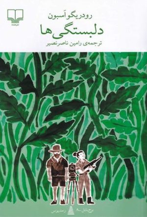 کتاب دلبستگی ها | انتشارات نشر چشمه