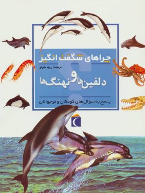 کتاب دلفین ها و نهنگ ها | انتشارات محراب قلم
