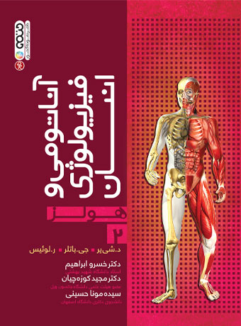 کتاب آناتومی و فیزیولوژی انسان هولز (جلد دوم) | انتشارات حتمی