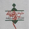 کتاب شرح نهج البلاغه 10 (شومیز) | انتشارات نیستان