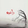 کتاب زاغچه | انتشارات ابریشمی