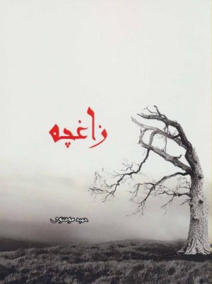 کتاب زاغچه | انتشارات ابریشمی
