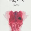 کتاب به اندازه ی یک نقطه | انتشارات نیستان