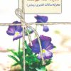 کتاب شاید خدا گم شد! | انتشارات سخن