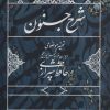 کتاب شرح جنون | انتشارات روزنه