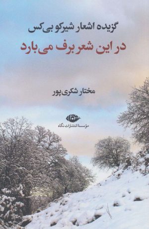 کتاب در این شعر برف می بارد | انتشارات نگاه