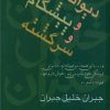 کتاب دیوانه و پیشگام و سرگشته | انتشارات سخن