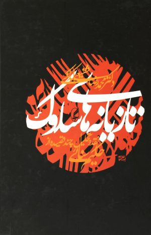 کتاب تازیانه های سلوک | انتشارات آگاه