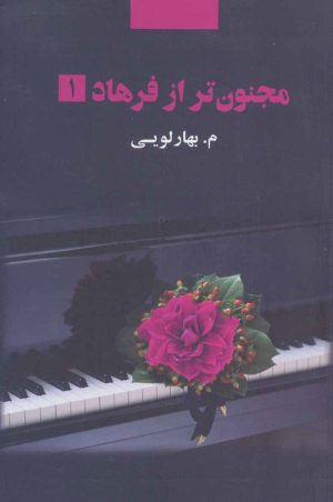 کتاب مجنون تر از فرهاد (2جلدی) | انتشارات ذهن آویز