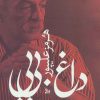 کتاب داغ بی بی | انتشارات نشر چلچله