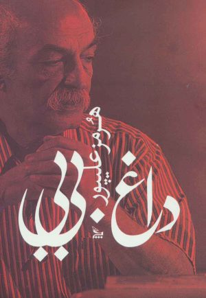 کتاب داغ بی بی | انتشارات نشر چلچله
