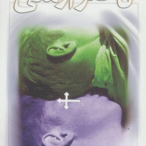 کتاب ناصر ارمنی | انتشارات نیستان