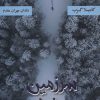 کتاب سرزمین یخی | انتشارات شادان