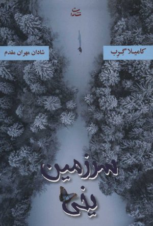 کتاب سرزمین یخی | انتشارات شادان