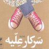 کتاب سرکار علیه | انتشارات کتابستان معرفت