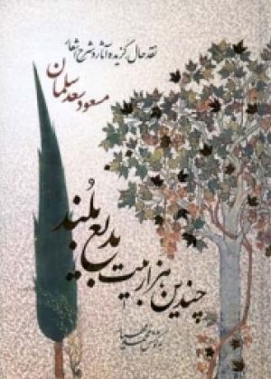 کتاب چندین هزار بیت بدیع بلند | انتشارات اطلاعات