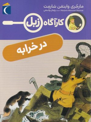 کتاب در خرابه | انتشارات محراب قلم