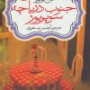 کتاب جنوب دریاچه سوپریور | انتشارات آموت