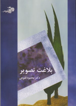 کتاب بلاغت تصویر | انتشارات سخن