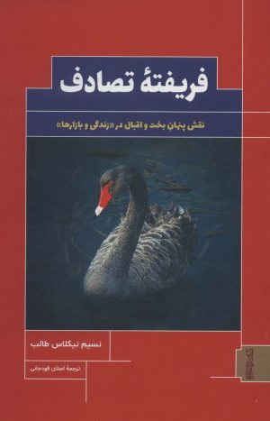 کتاب فریفته تصادف | انتشارات کتابسرای میردشتی