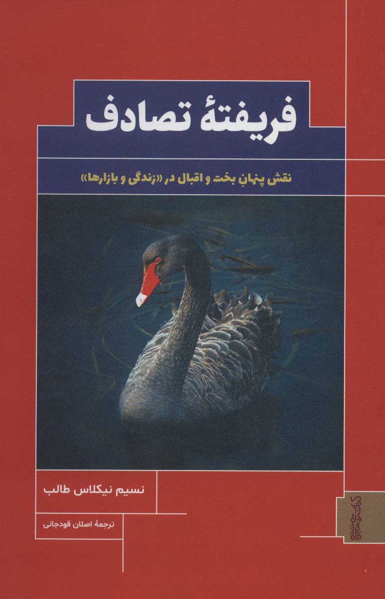 کتاب فریفته تصادف | انتشارات کتابسرای میردشتی