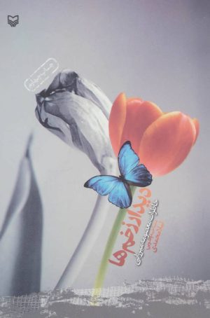 کتاب دیدار زخم ها | انتشارات سوره مهر