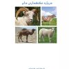 کتاب دانستنی های علمی درباره نگهداری دام | انتشارات ابریشمی