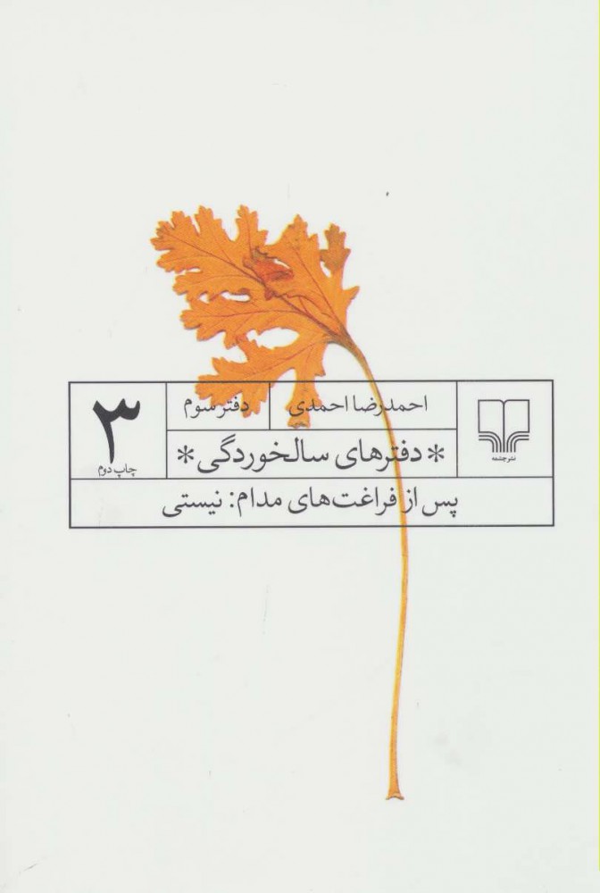 کتاب دفترهای سالخوردگی 3 | انتشارات نشر چشمه