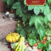 کتاب دوست داشتم کسی جایی منتظرم باشد | انتشارات حوض نقره