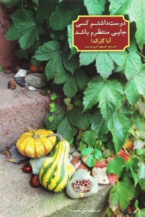 کتاب دوست داشتم کسی جایی منتظرم باشد | انتشارات حوض نقره