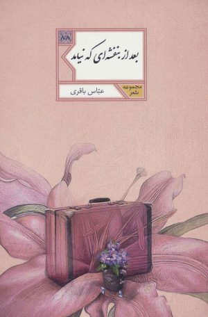 کتاب بعد از بنفشه ای که نیامد | انتشارات شهرستان ادب