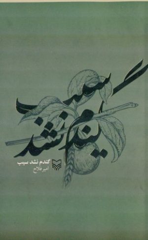 کتاب گندم نشد سیب | انتشارات سوره مهر