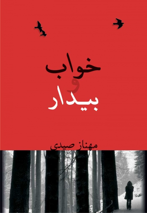 کتاب خواب و بیدار | انتشارات شادان