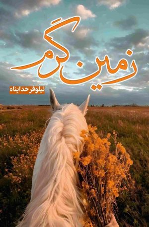 کتاب زمین گرم | انتشارات شقایق