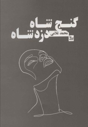 کتاب گنج شاه دزد شاه | انتشارات نشر چلچله