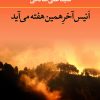 کتاب انیس آخر همین هفته می آید | انتشارات نگاه