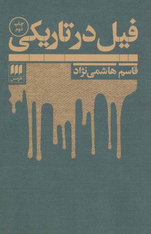 کتاب فیل در تاریکی | انتشارات هرمس