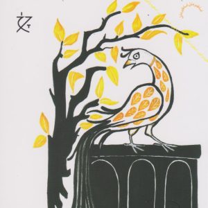 کتاب شهرهای افسانه ای ،شاهزادگان و جن ها | انتشارات نشر چشمه