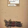 کتاب کابوس شاخه های شکسته | انتشارات شهرستان ادب