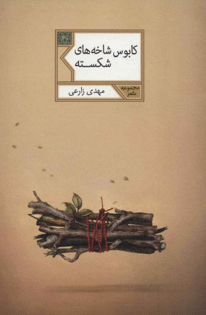 کتاب کابوس شاخه های شکسته | انتشارات شهرستان ادب