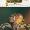 کتاب یک فنجان دانستنی درباره ی عنکبوت ها | انتشارات نوشته